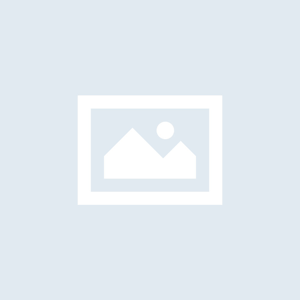 Inergy Pro thé-pêche 500gr