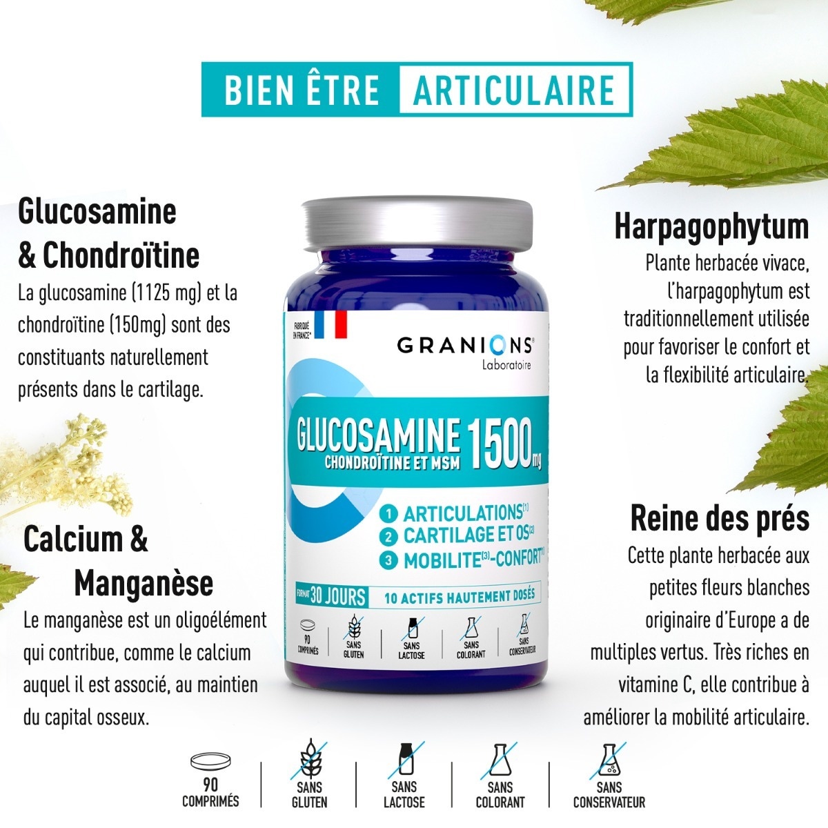 Glucosamine  ingrédients