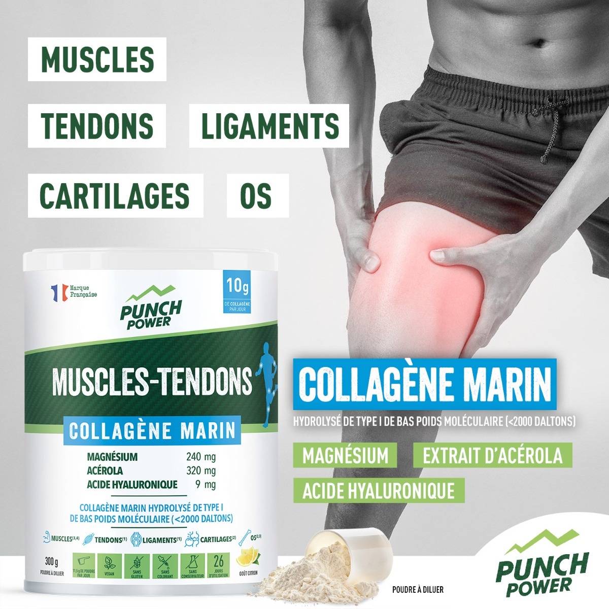 Muscles-tendons collagène marin
