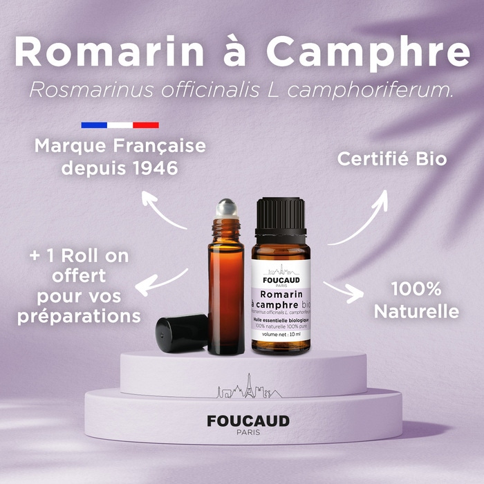 Romarin à Camphre