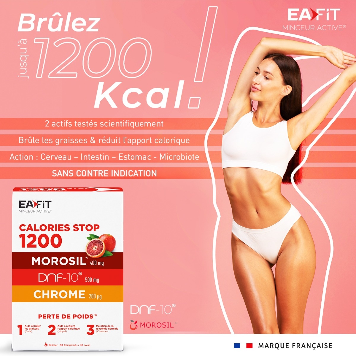 EAFIT - Minceur Active - Calories stop 1200 - Perte de poids - Morosil