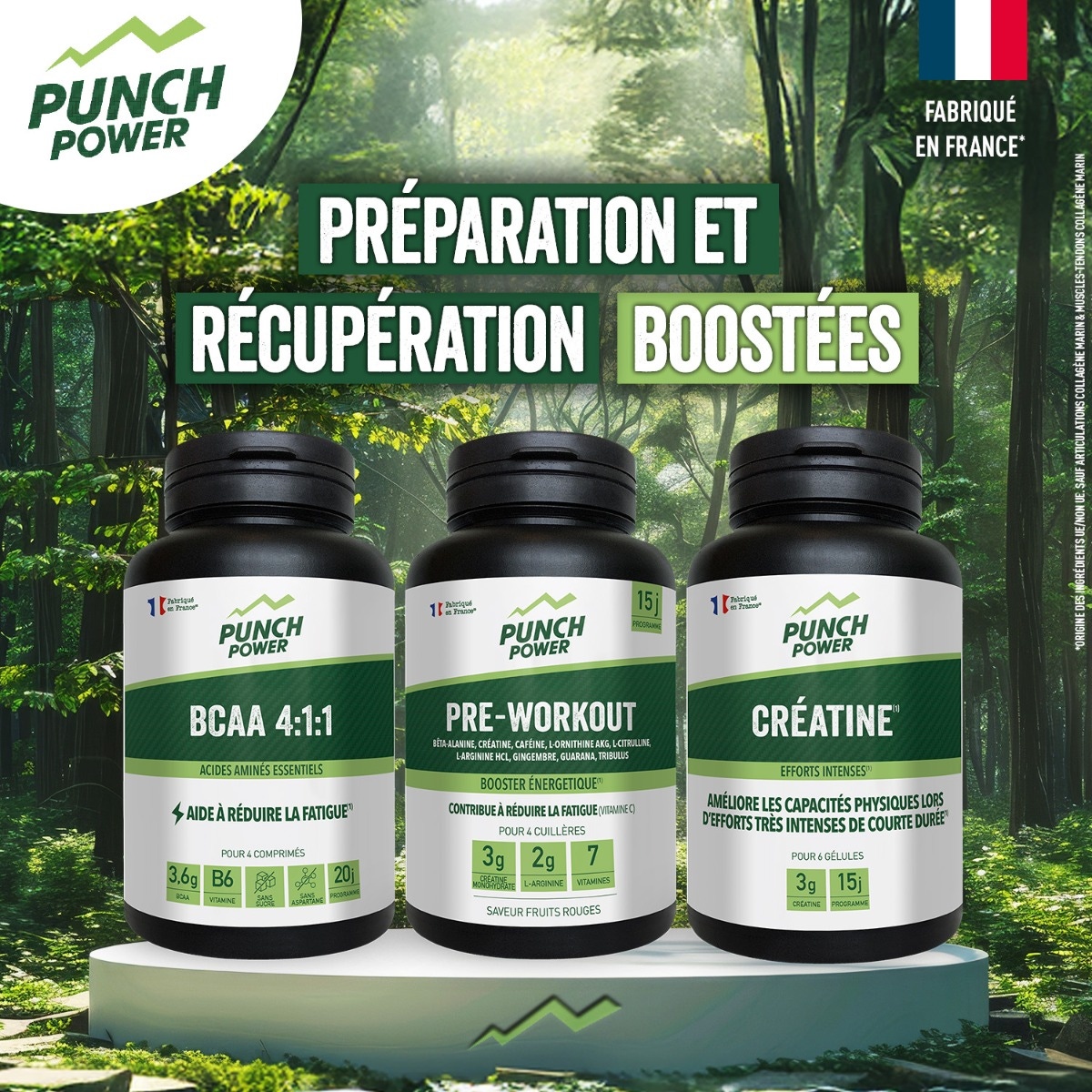 Créatine 