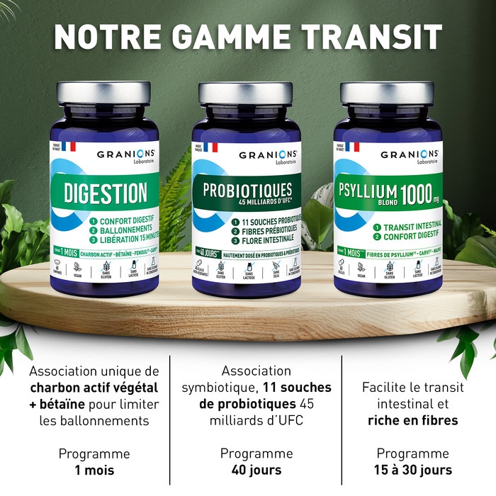 Gamme transit