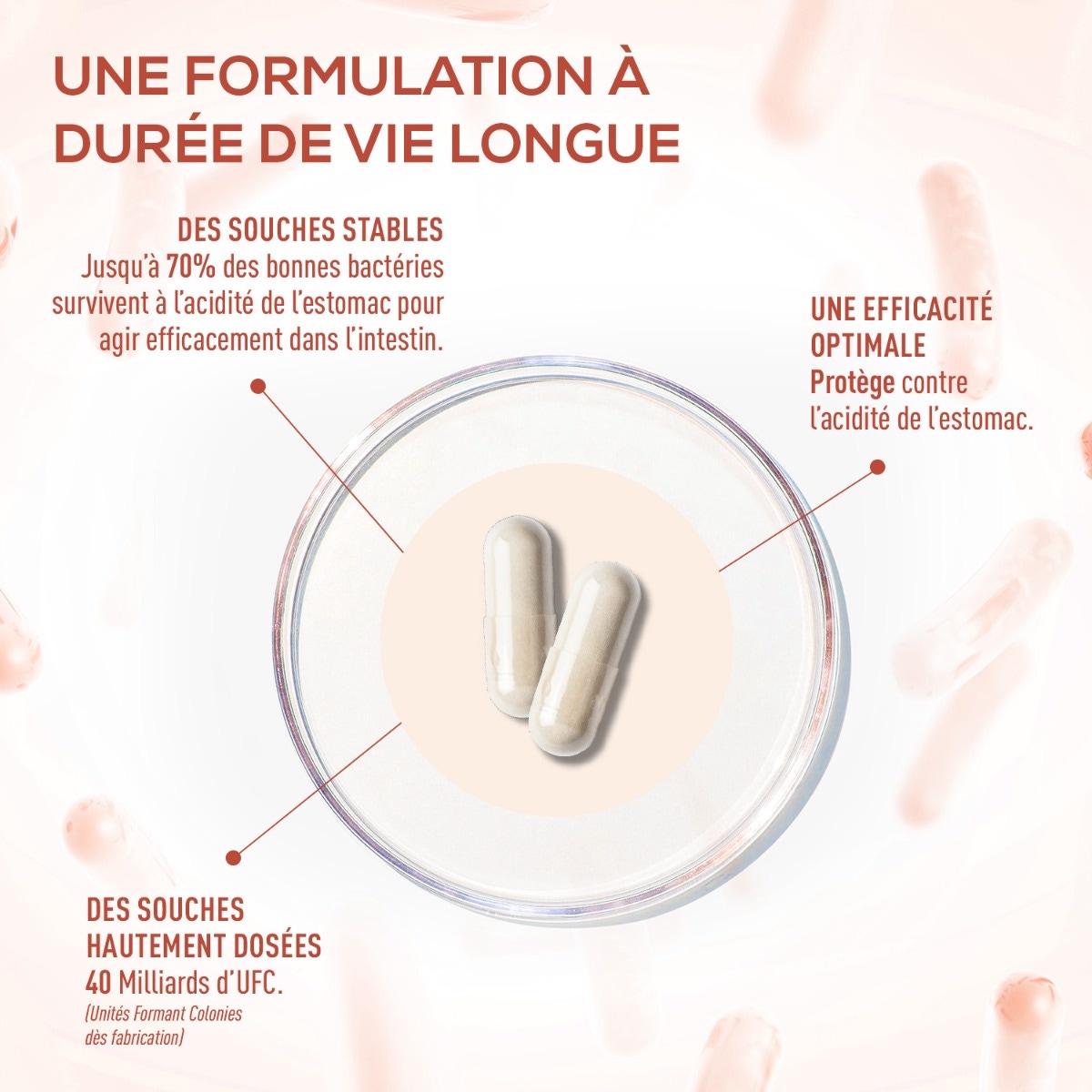 Granions - Probiotiques 40 Milliards - Immunité & Vitalité