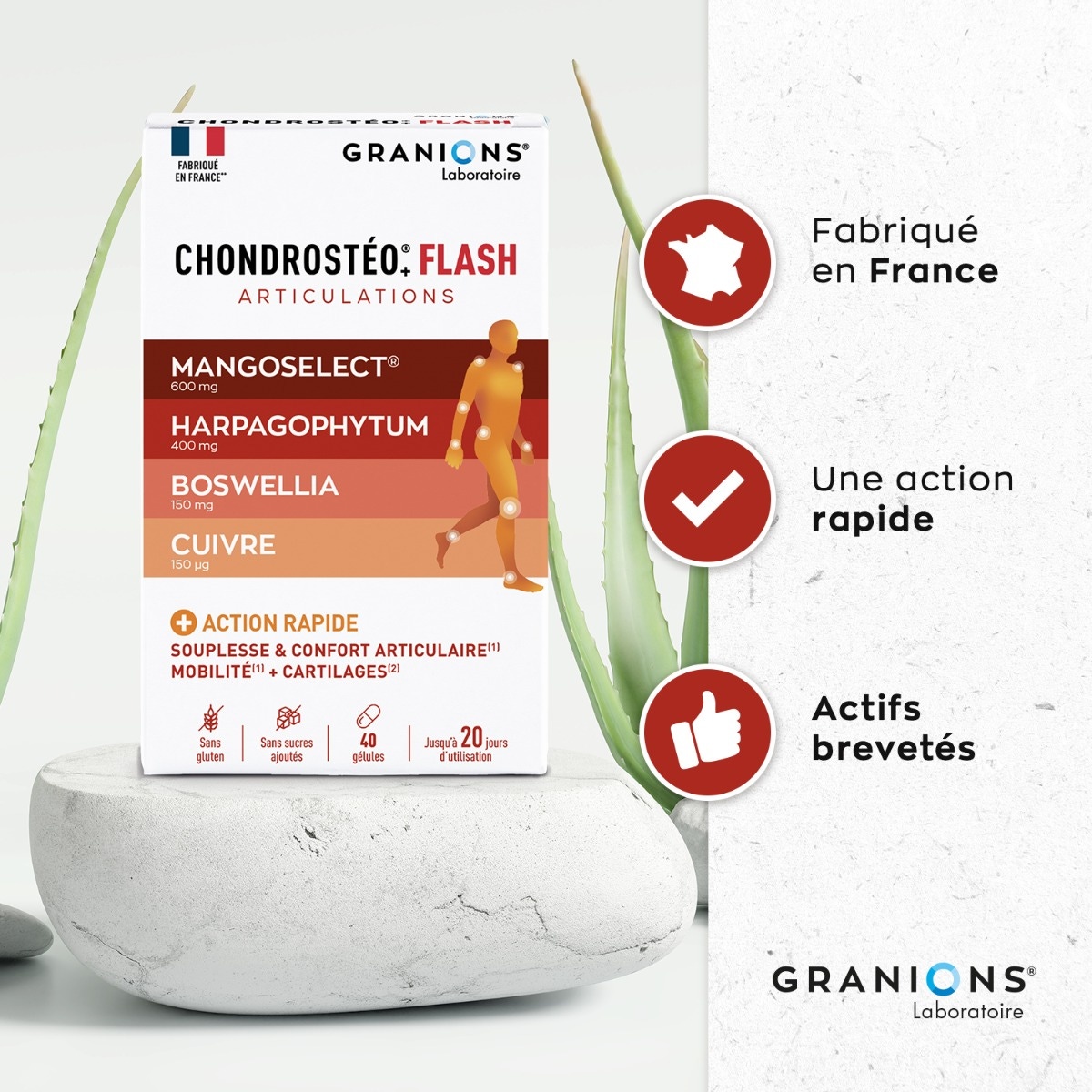 Chondrosteo flash - Bien être et mobilité articulaire - Terminez-en naturellement avec vos douleurs !