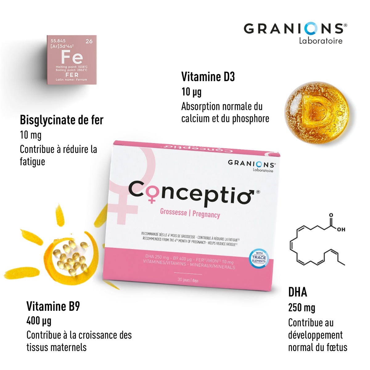 Conceptio Grossesse - ingrédients