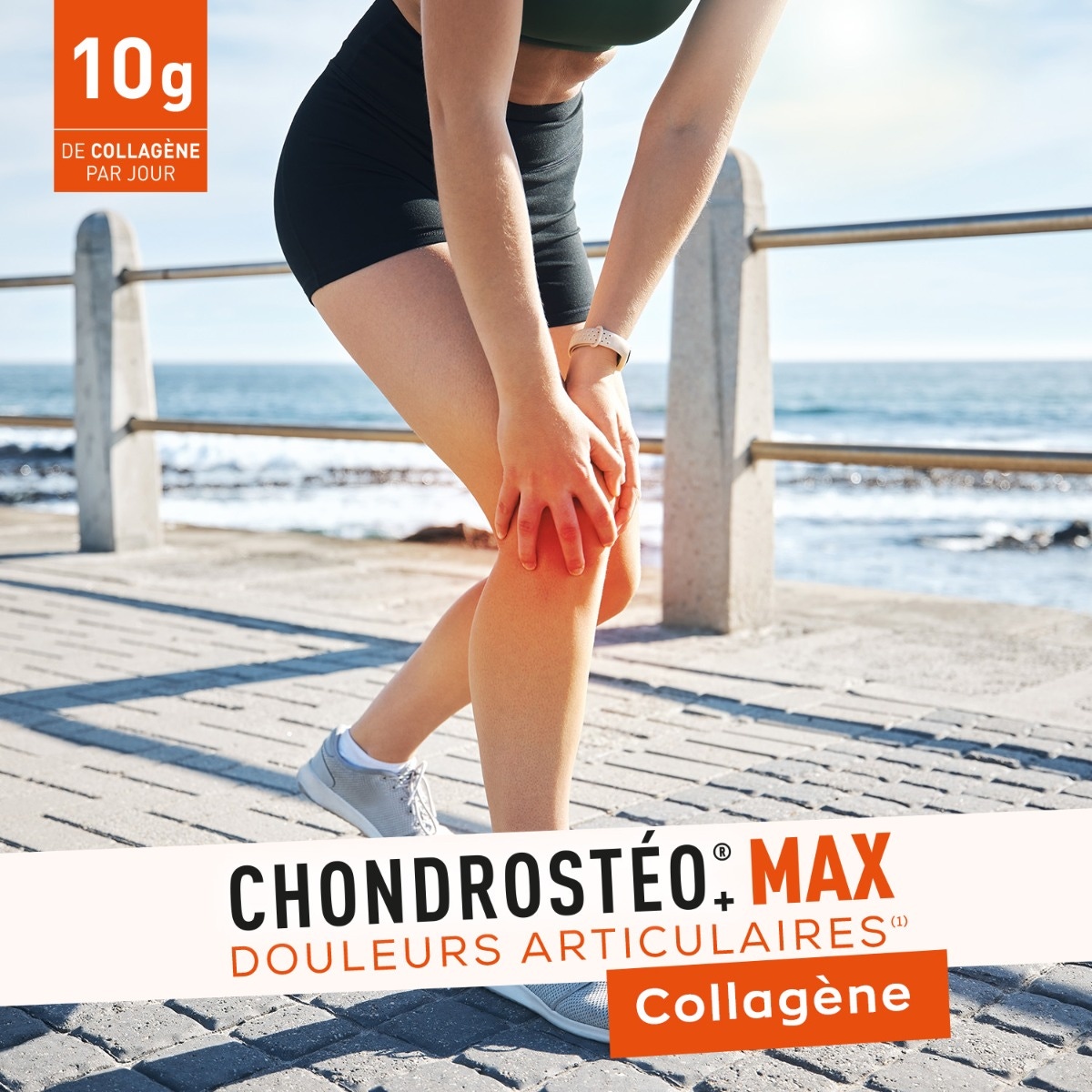 GRANIONS - Chondrostéo+ Max 