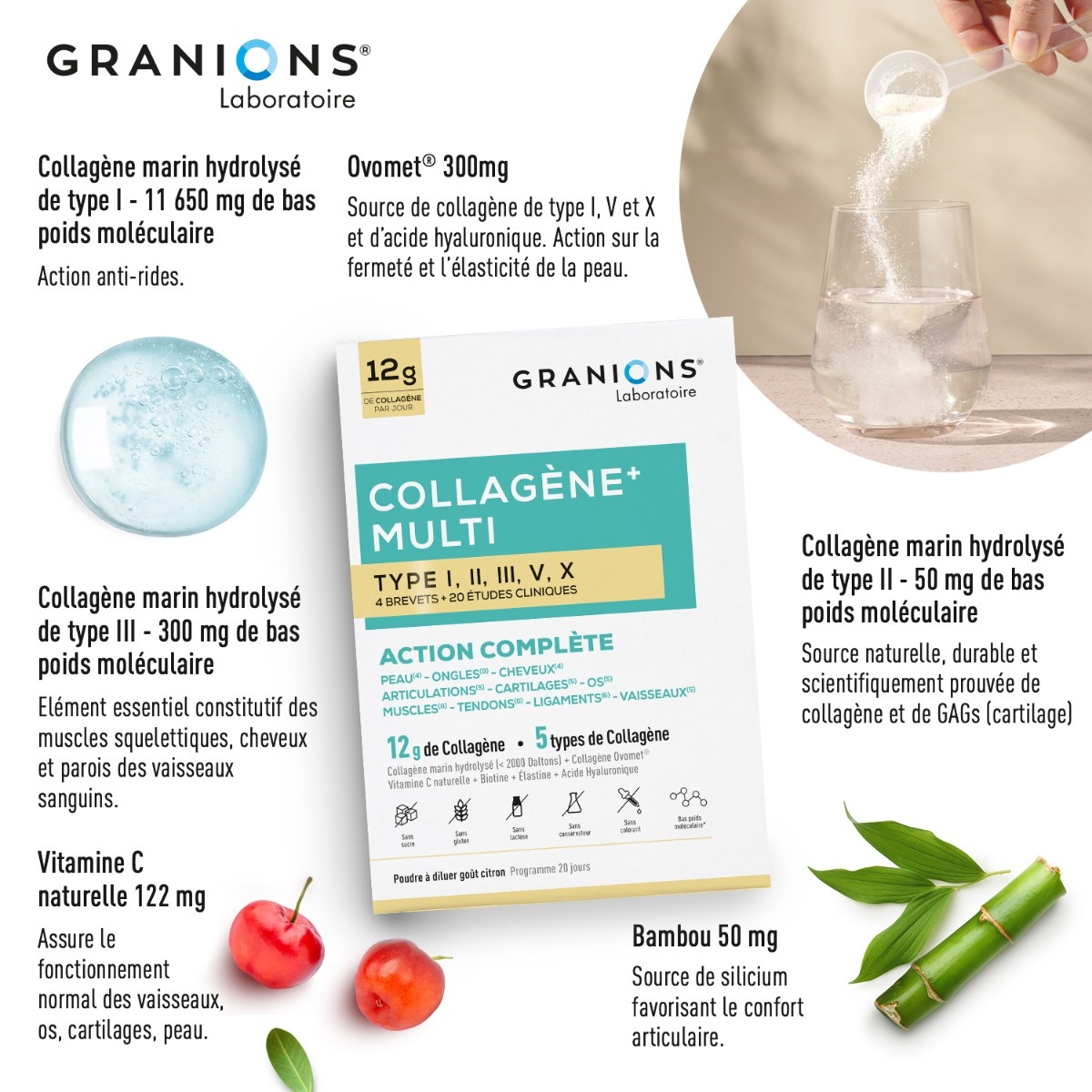 Collagène+ Multi type I, II, III, V, X - Poudre actifs
